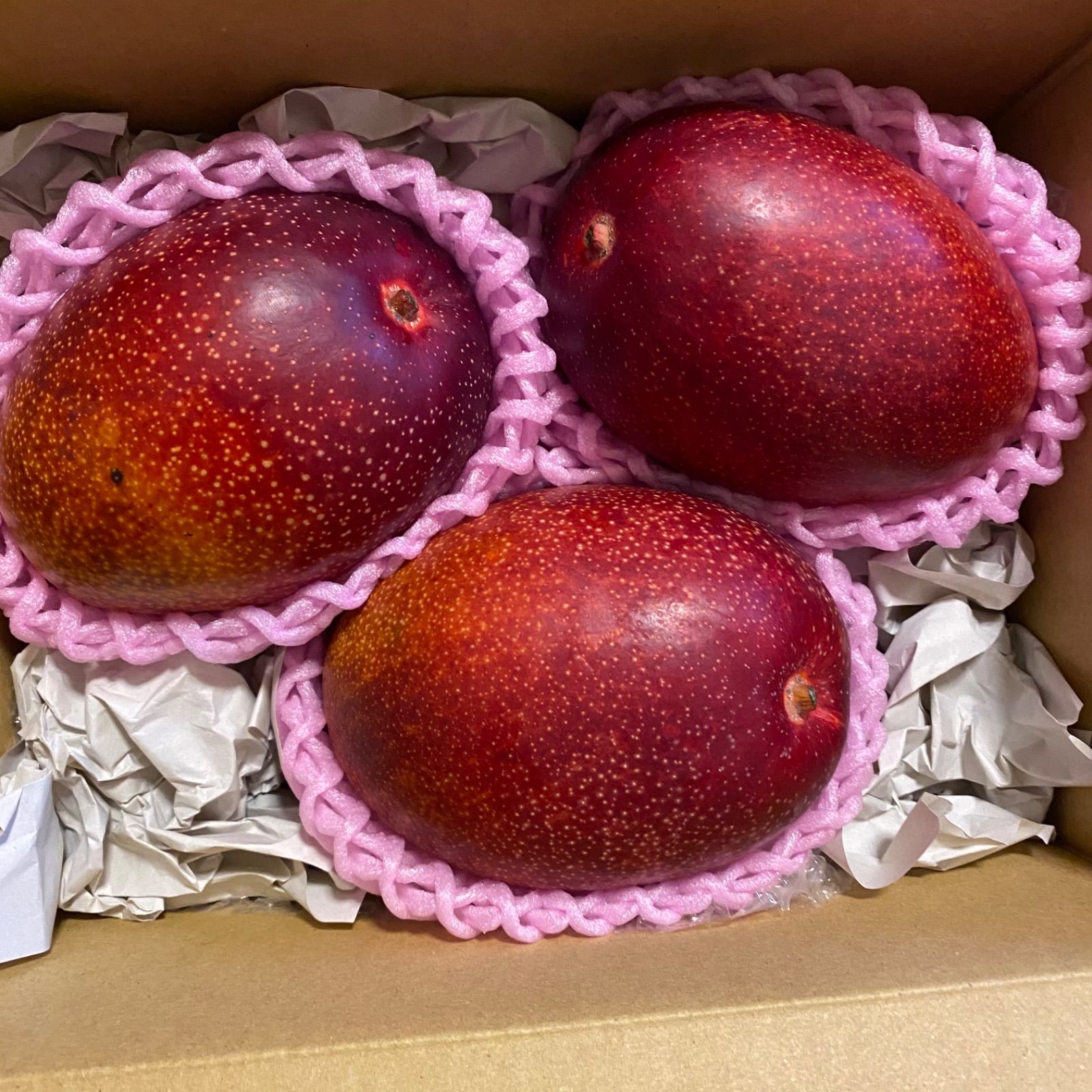 訳あり特大】宮崎完熟マンゴー 4L 3玉 約1.6kg - メルカリ