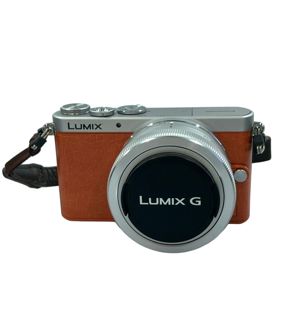 訳あり パナソニック ミラーレス一眼カメラ LUMIX DMC-GM1 レンズキット Panasonic