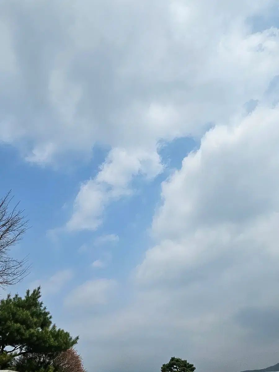 お붕어様