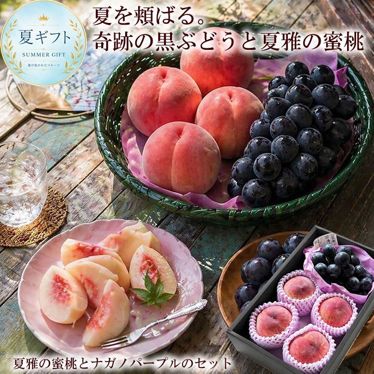 【7月上旬より出荷開始】【贈答用】夏雅の蜜桃4玉 ナガノパープル1房 セット 高糖度桃 種なしぶどう ギフト お中元 [夏雅の蜜桃とナガパ]