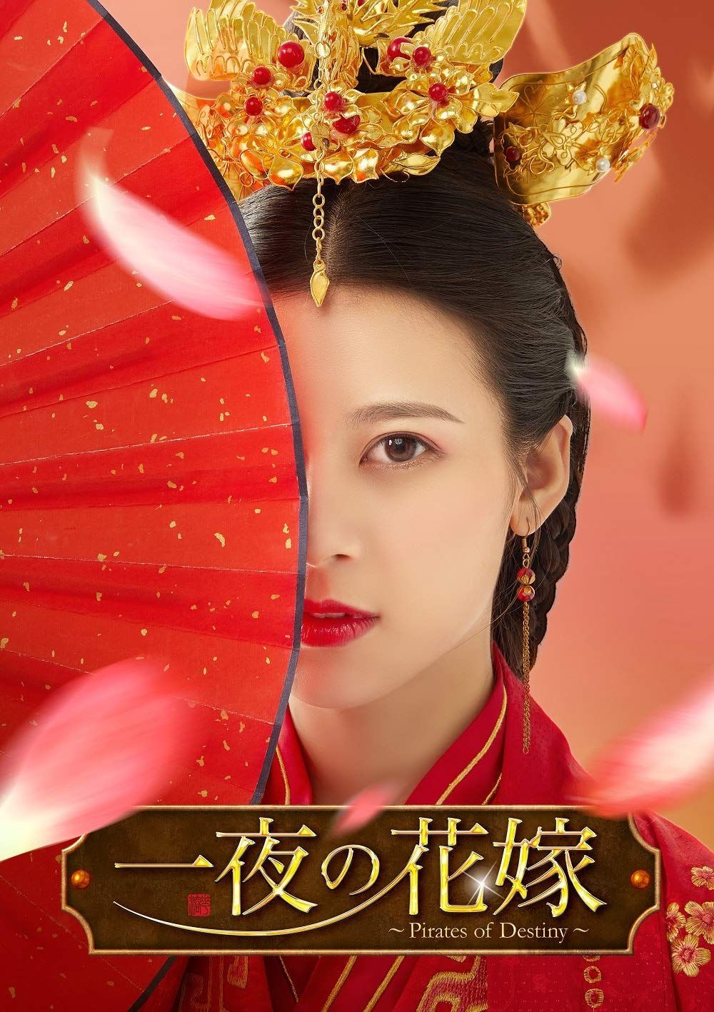 一夜の花嫁~Pirates of Destiny~ DVD-BOX1 高林豹[DVD](中古)