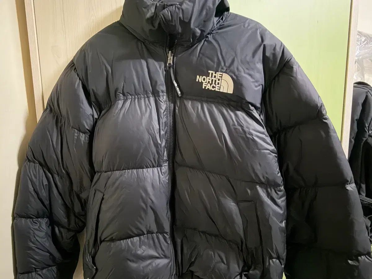 (訳あり特価) THE NORTH FACE ザノースフェイス エコー ヌプシ ブラック ダウン m