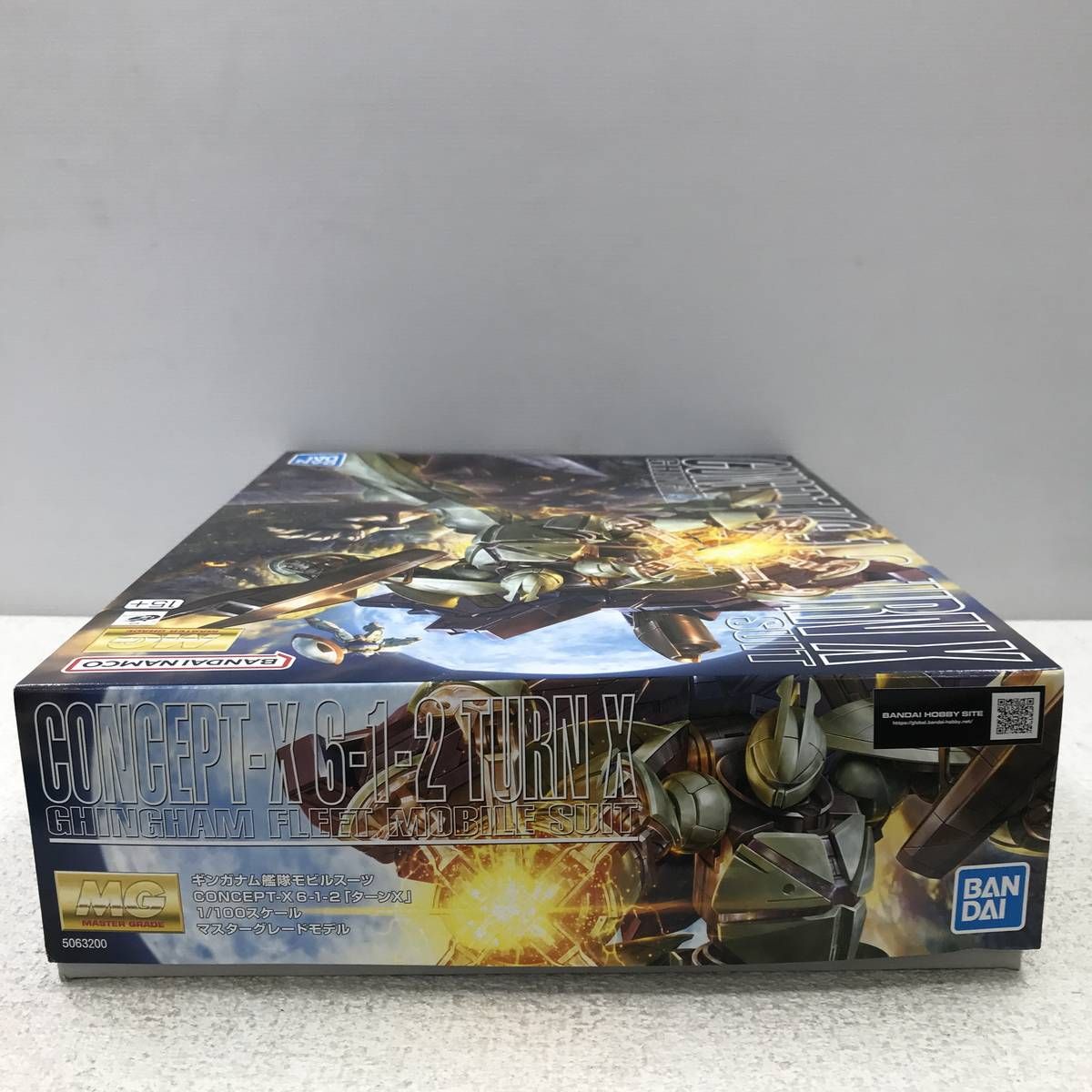 ☆未使用☆ プラモデル BANDAI バンダイ MG 1/100 Concept-X 6-1-2