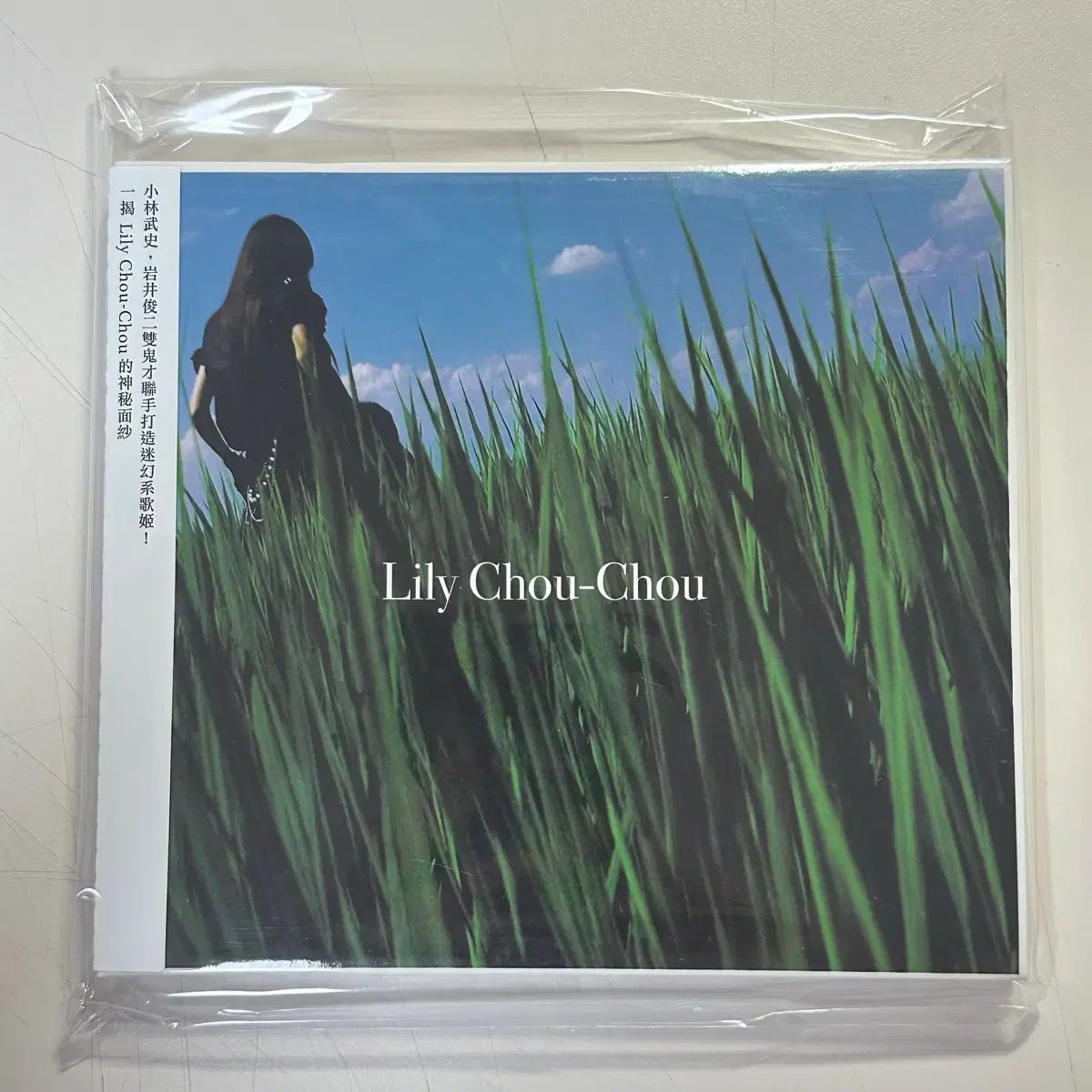 リリー(LILY) シュシュの まとめ売り モノ all about lily chouchou 呼吸器 CD