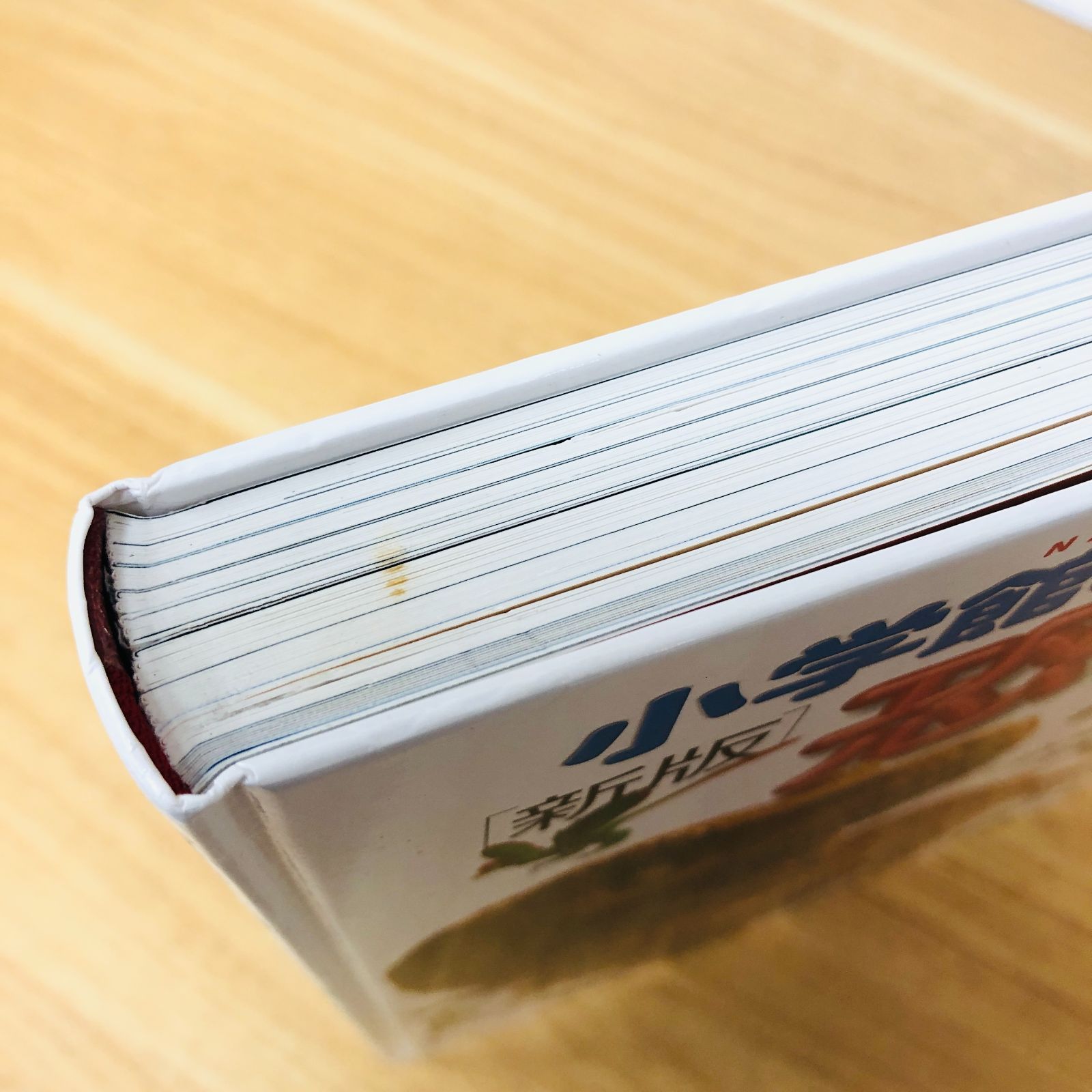 ◇[F]図鑑まとめ売り11冊 小学館の図鑑NEO DVD7枚付 - メルカリ
