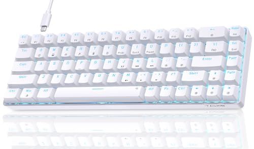 DIERYA DK68SE ゲーミングメカニカルキーボード 有線接続 65%配列 68キー 青軸 氷ブルーバックライト 全キー無衝突 英語配列 Windows/Mac対応★m 46d36ec7
