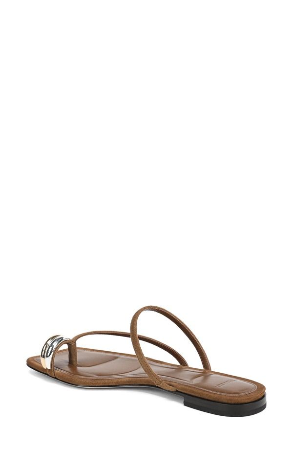 ヴィンス レディース シューズ サンダル Vince Polli Toe Loop Sandal Elmwood ヴィンス レディース シューズ サンダル Vince Polli Toe Loop Sandal Elmwood
