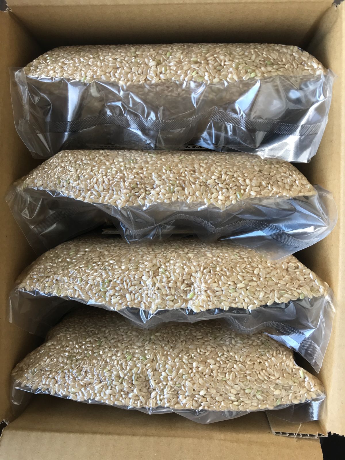 自然栽培 朝日米 20kg 玄米 R7年産 在来種 - メルカリ