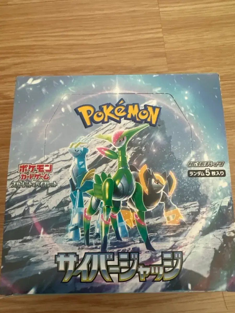 一般版サイバージャージ出品