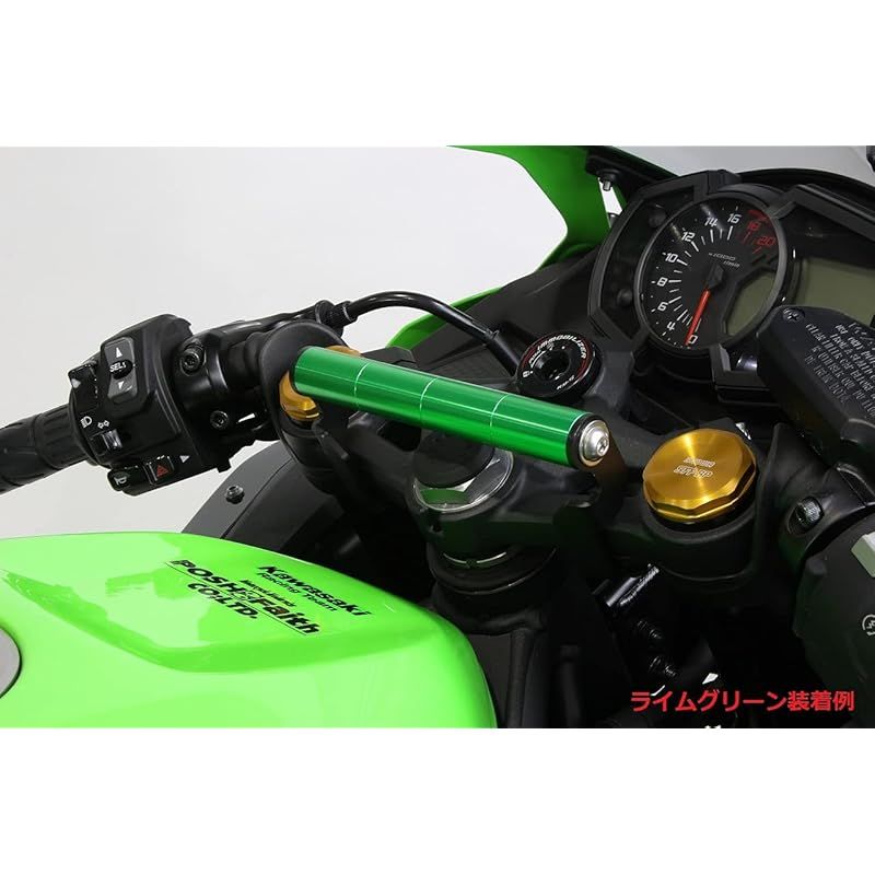 バイク 【新品】 ポッシュフェイス(POSH FAITH) バイク用品 マウント