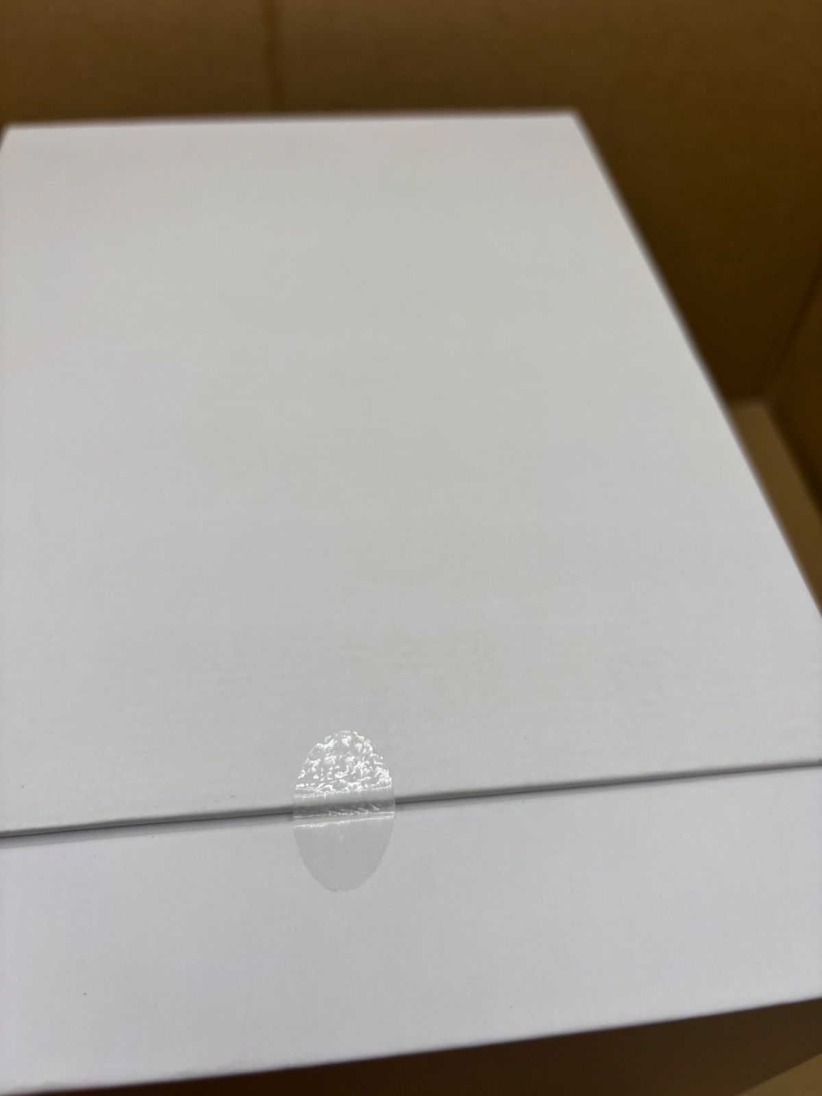 新品未開封 SALONIA(サロニア) ピュア ブライト スチーマー / ベージュ 新品未開封 SALONIA(サロニア) ピュア ブライト スチーマー / ベージュ