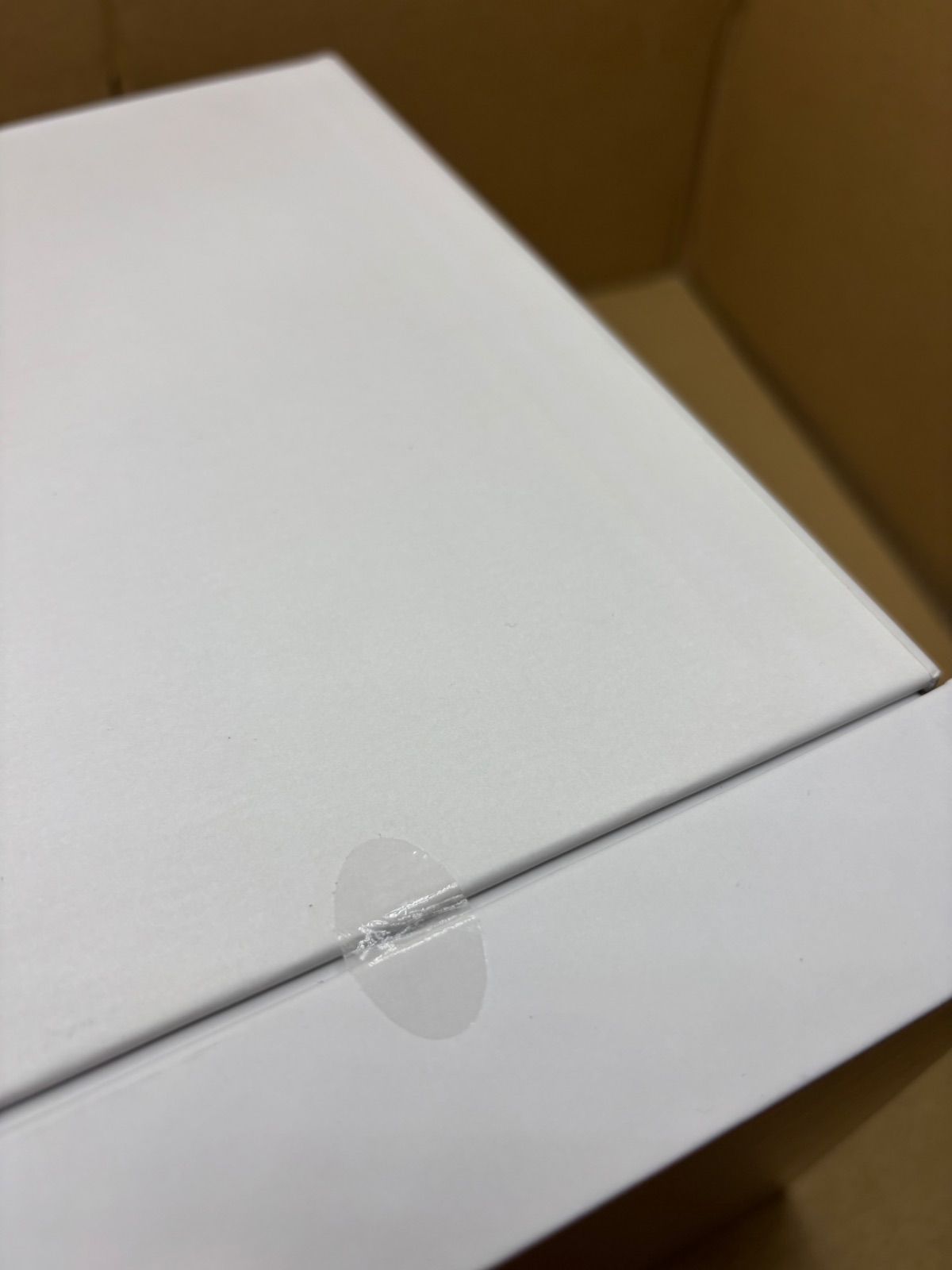 新品未開封 SALONIA(サロニア) ピュア ブライト スチーマー / ベージュ 新品未開封 SALONIA(サロニア) ピュア ブライト スチーマー / ベージュ