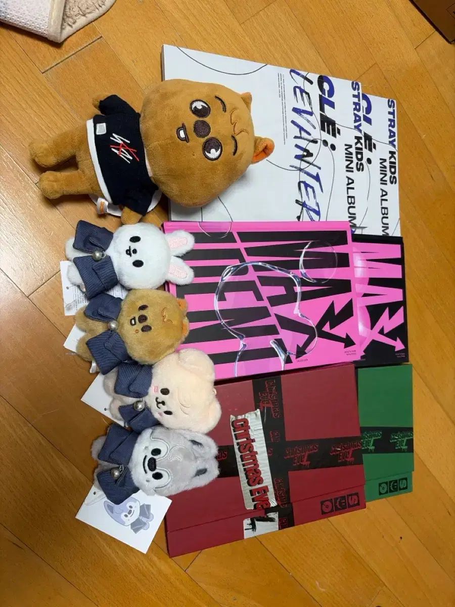 Stray Kids(ストレイキッズ・スキズ・SKZ) アルバム SKZOO まとめ売り