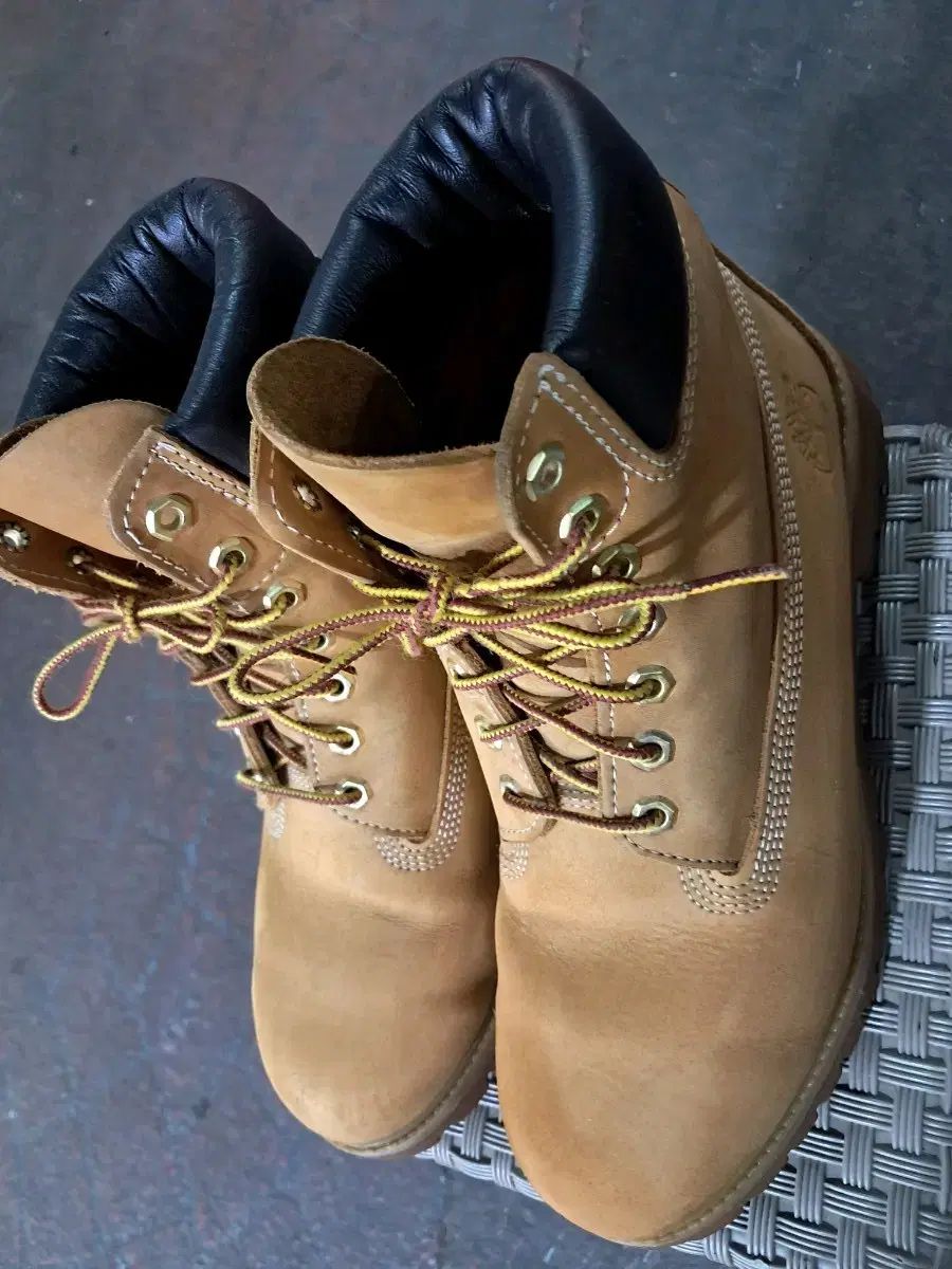 Timberland ウォーカーブーツ 6インチ 9 265/270