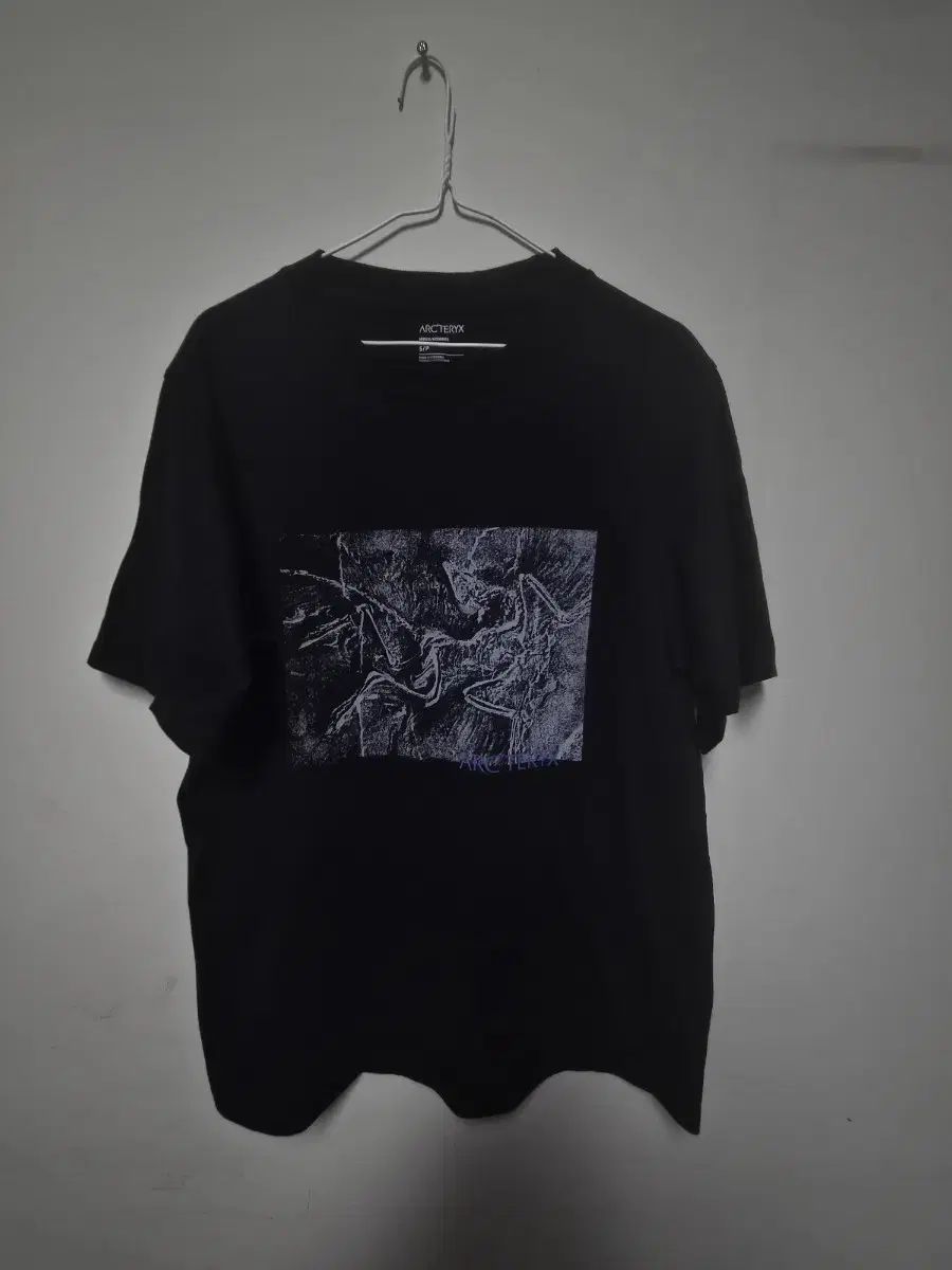 ARC'TERYX アークテリクス 半袖 L (100)