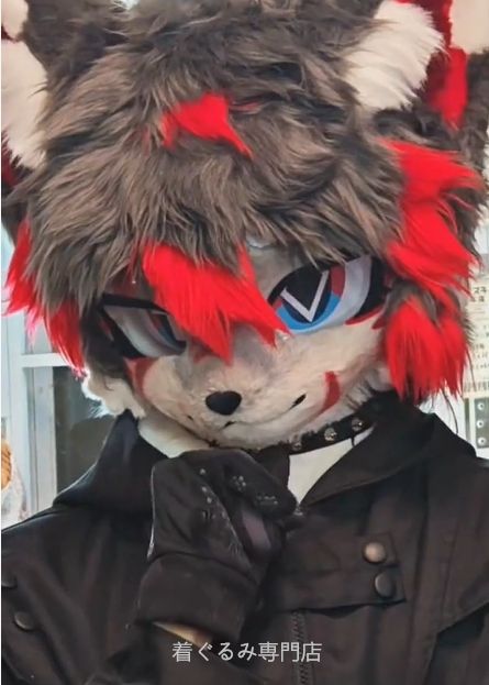 犬　猫　着ぐるみ ヘッド全頭　ヘッド ケモノ ファースーツ ぬいぐるみ コスプレ コスチューム Kurumi 一点物 C493