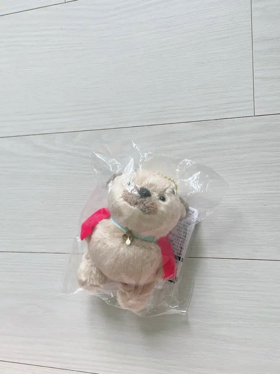 コロワン 강아지展示会グッズマスコット