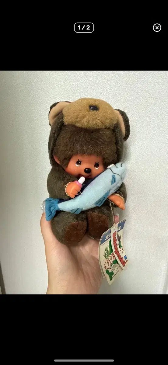 モンチッチ 北海道 クマ