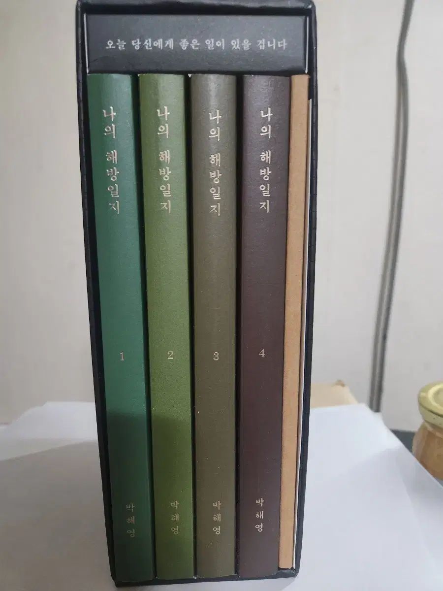 私の解放日誌