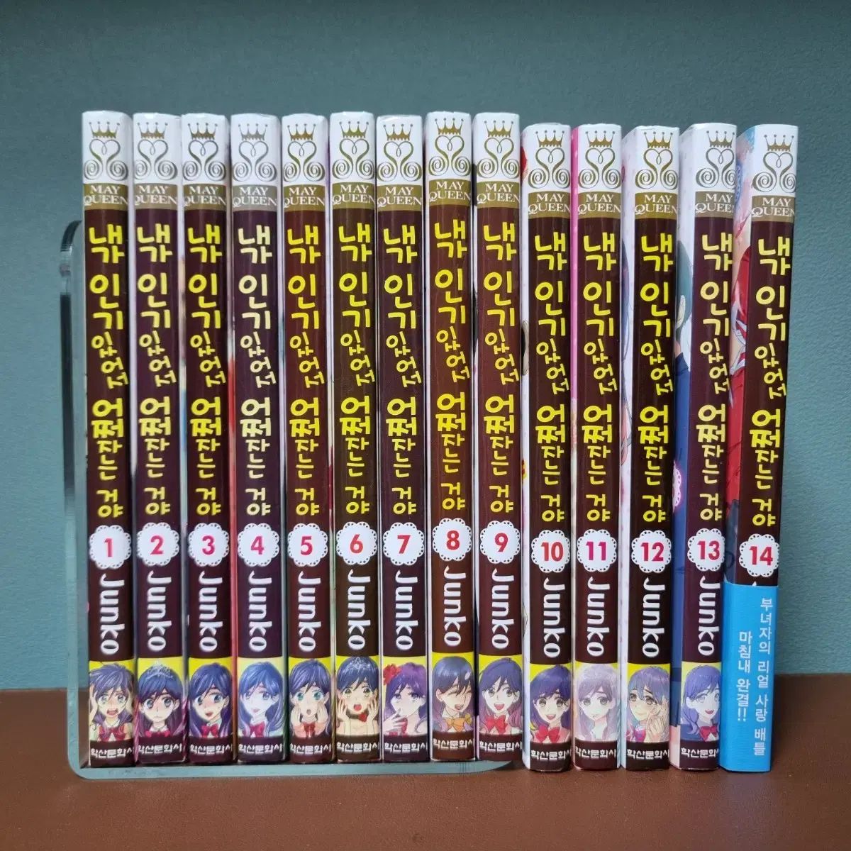 漫画 私が人気でどうしろと 1 14 巻 完結 全巻 コレクション用