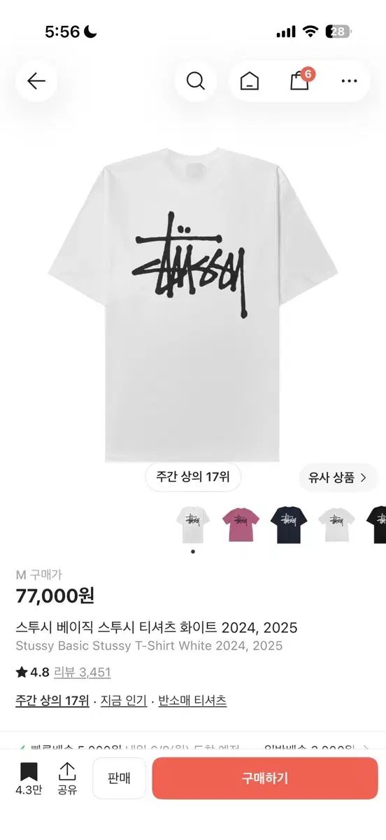 STUSSY ベーシック Tシャツ m