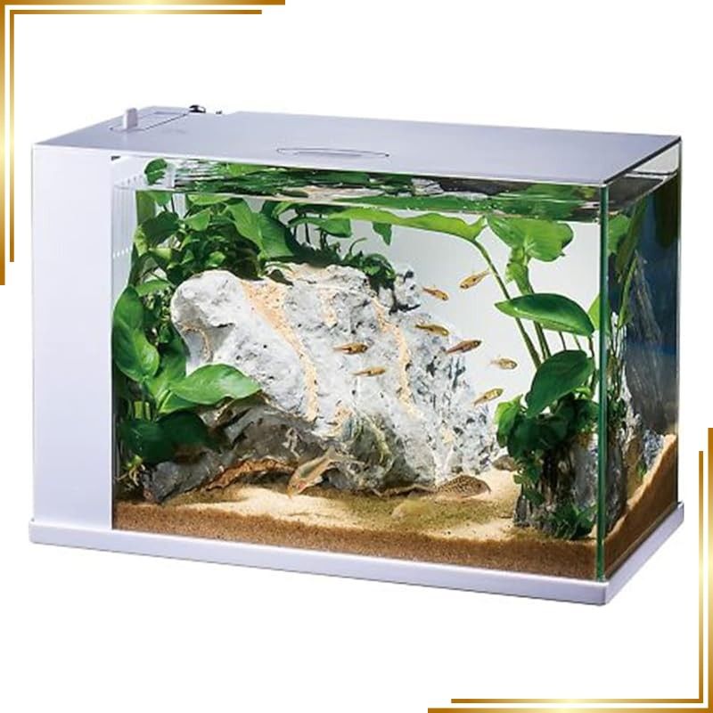 【新品】 GEX AQUARIUM ラクテリア 水換え簡単水槽 フィルター・LED付き W34×D17.5×H24cmホワイト