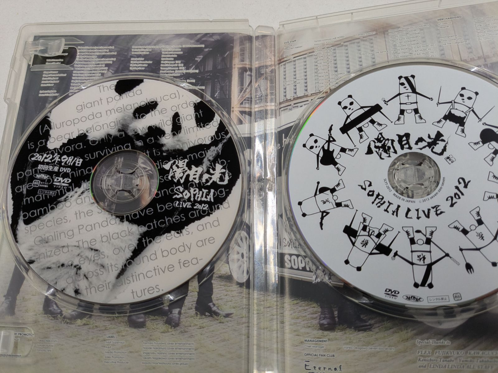 SOPHIA / LIVE 2012 陽月ノ光 DVD 管理7M2026/06/07 - メルカリ
