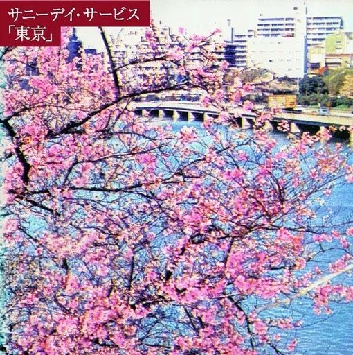 【中古】邦楽CD サニーデイ・サービス / 東京[20周年記念BOX盤]