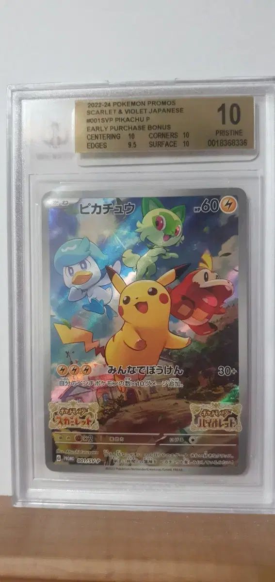 一般 スカーレット バイオレット ピカチュウ BGS10 GOLD ラベル