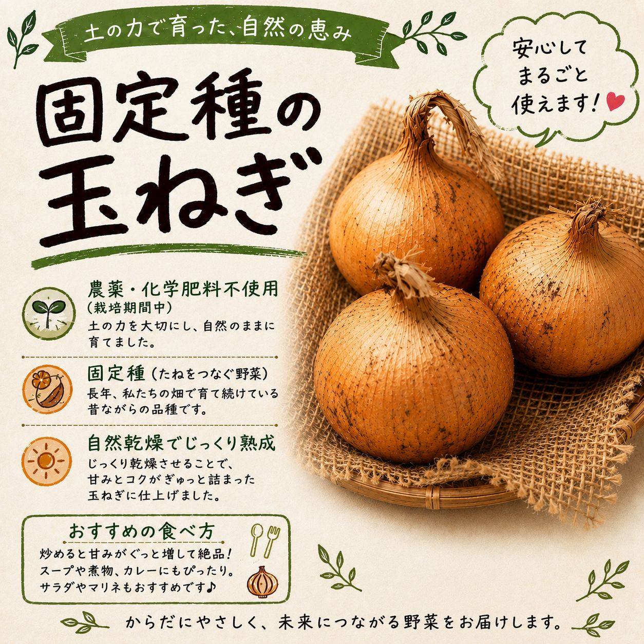 農薬不使用】固定種 玉ねぎ 3kg 自然栽培 - メルカリ