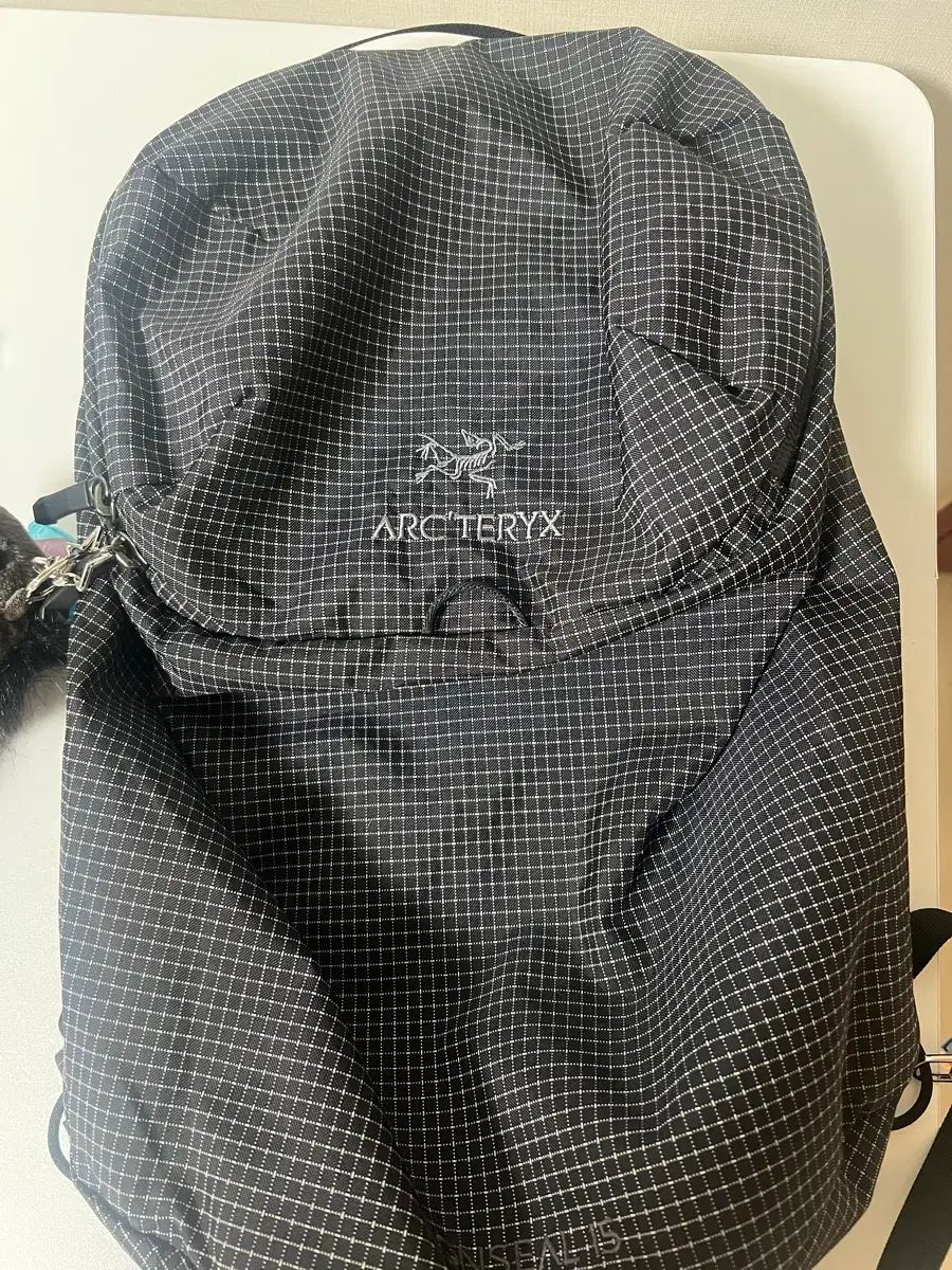 ARC'TERYX コンシール 15