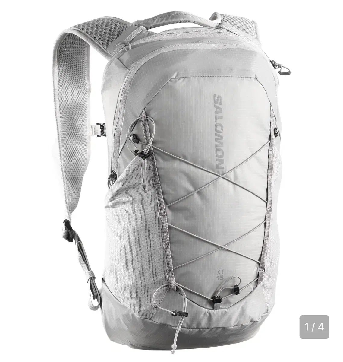 SALOMON サロモン バックパック XT 15_LC2858200