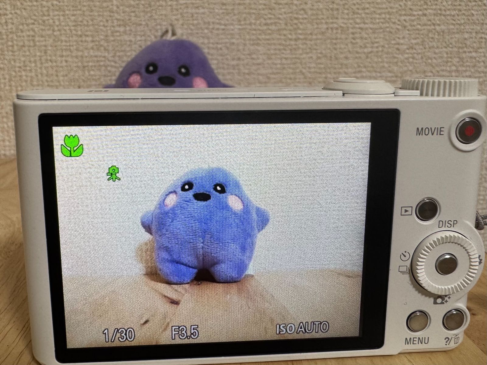[完動美品] SONY Cyber-shot DSC-WX350 ホワイト コンパクトデジタルカメラ ソニー 箱付き #2912378A