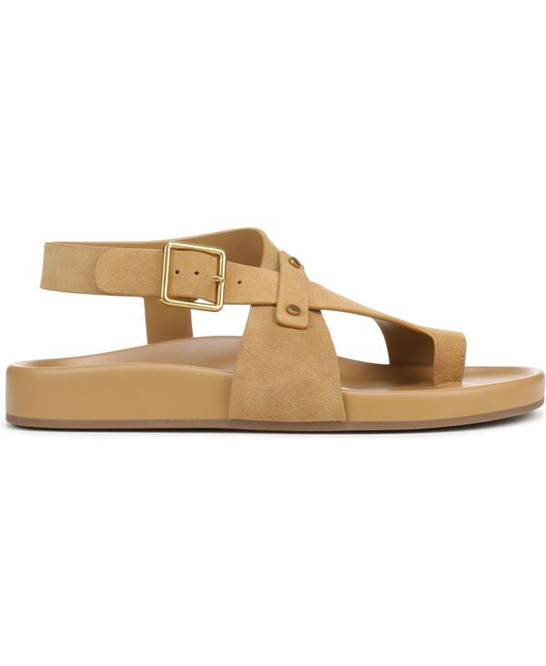 フランコサルト レディース シューズ サンダル Franco Sarto Blair Toe Loop Round Toe Buckle Flat Sandals Biscotti Brown Faux Suede ブラウン