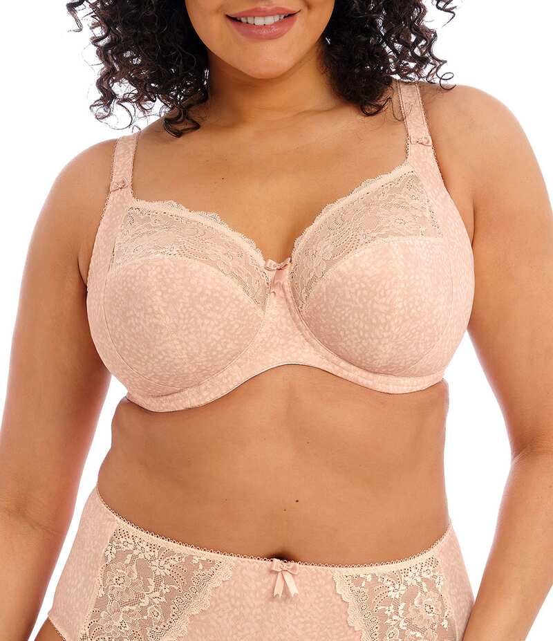 エロミ レディース アンダーウェア ブラジャー レース Elomi Morgan LaceTrimmed FullBusted Contour UBack Underwire Bra Cameo Rose