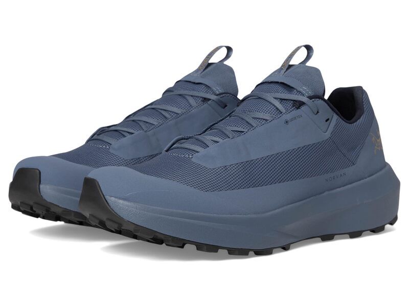 アークテリクス メンズ シューズ スニーカー Arcteryx Norvan LD 4 GTX Light Black SapphireLight Black Sapphire ブラック