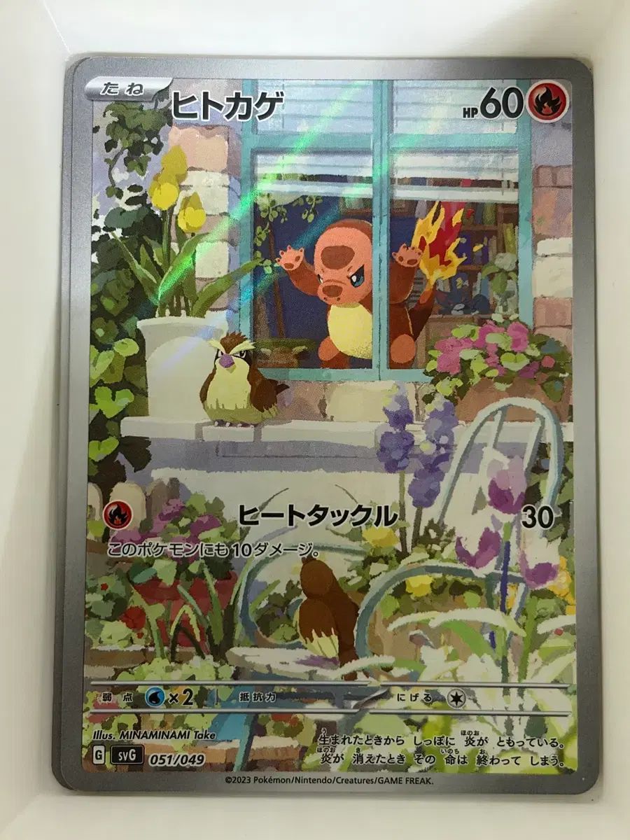 ポケモンカード スペシャルデッキ ヒトカゲar(一般版)