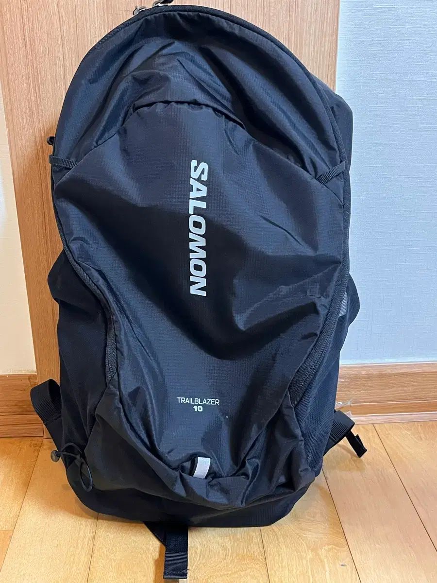 SALOMON サロモン トレイル ブレーザー 10 ブラック