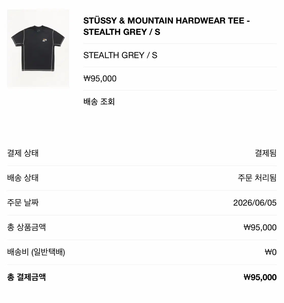 STUSSY マウンテンハードウェア Tシャツ ブラックS