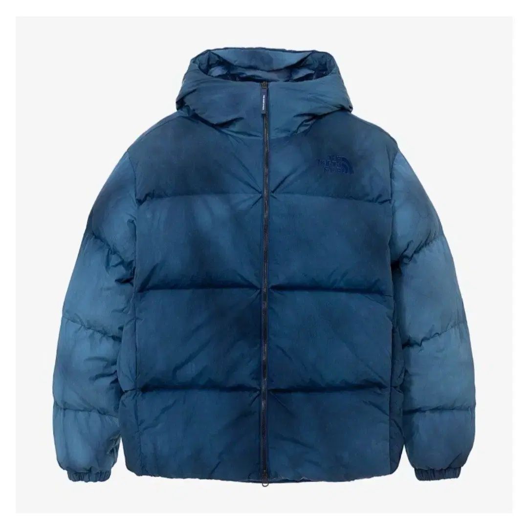 THE NORTH FACE ザノースフェイス ダイング Free! ダウン 95(M)