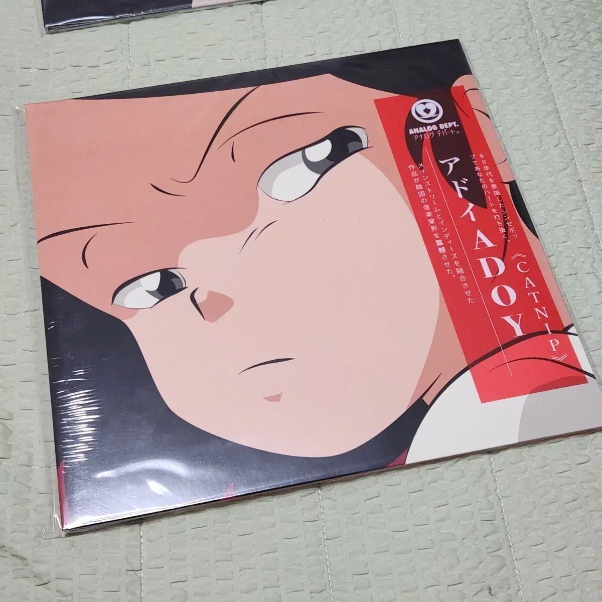 未開封 安土井 キャッチアップ lp adoy catnip