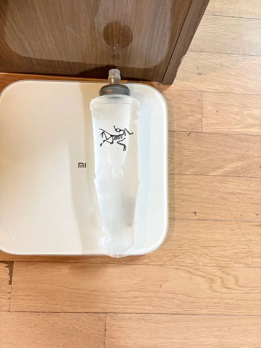ARC'TERYX アークテリクス ソフトフラスク 500ml 新品