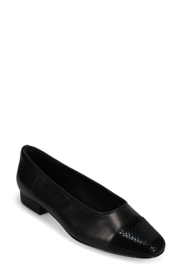 ベネリ レディース シューズ パンプス キャップ VANELi Cap Toe Flat Black Leather ブラック