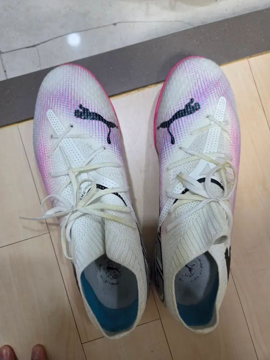 PUMA サッカーシューズ 255