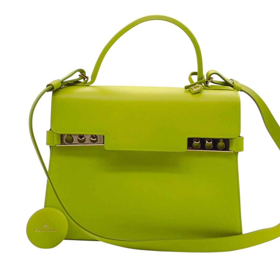DELVAUX　デルヴォー　タンペートMM　2way　ハンドバッグ　ショルダーバッグ　グリーン系　レザー　ブランド　本革　カーフ　トップハンドル　デルボー　ブランド　ハイブランド　5042