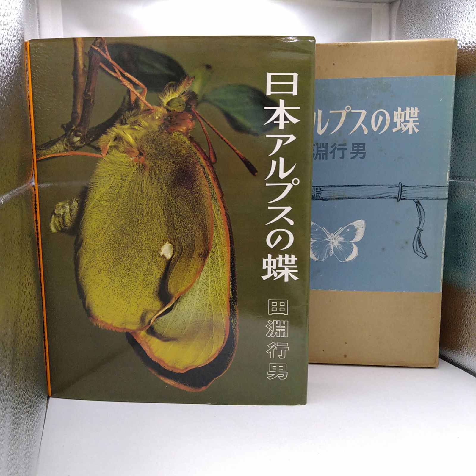 写真集】日本アルプスの蝶 田淵行男 箱付き 学習研究社 2606LXsy12