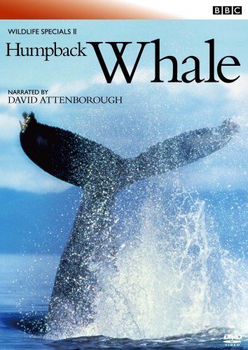 BBC ワイルドライフ・スペシャルII クジラ [DVD]