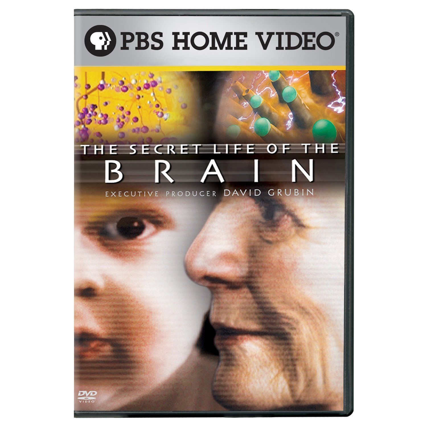 Secret Life of the Brain [DVD] [Import]