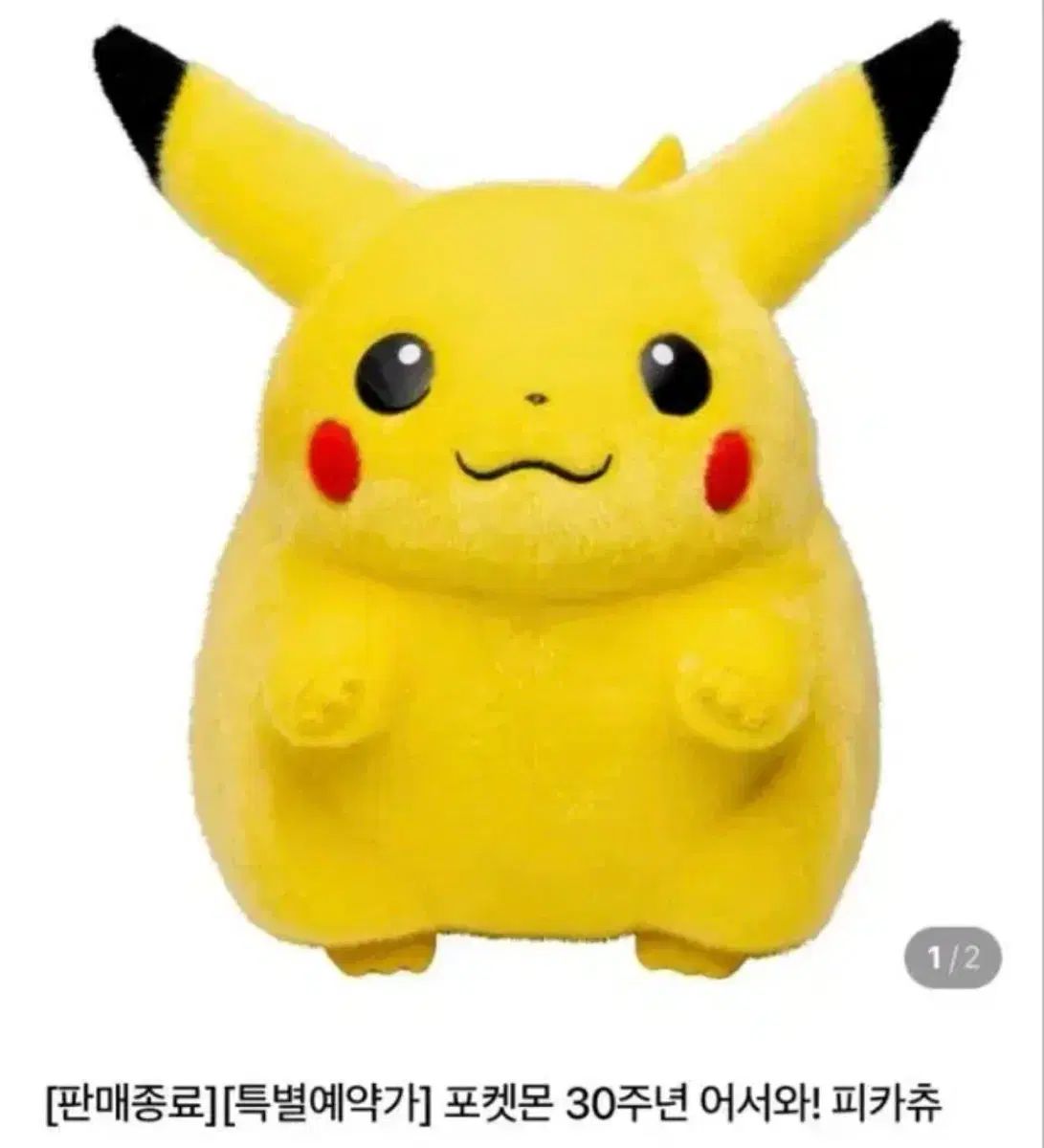 ポケモン 30周年 ようこそピカチュウぬいぐるみ 9,513円