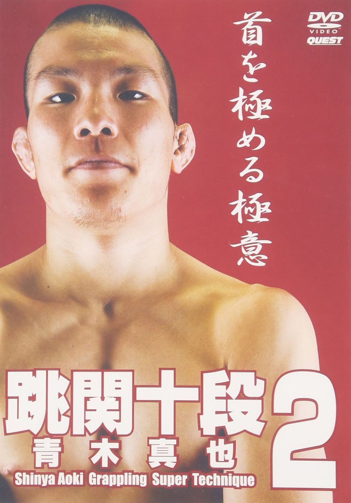 青木真也 跳関十段2 [DVD]